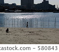 Odaiba Beach Park 580843