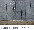 Odaiba Beach Park 580844