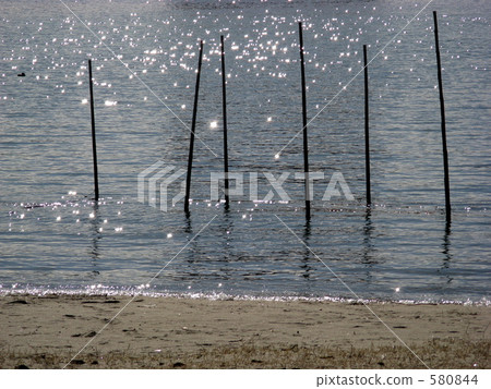Odaiba Beach Park 580844