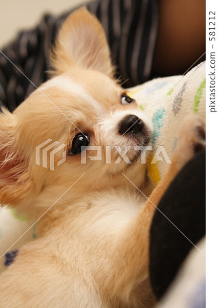 快樂的Eri 快樂的Eri 581212