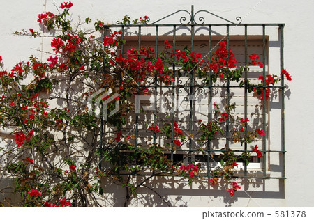 Midsummer afternoon, windows with bougainvillea Midsummer afternoon, windows with bougainvillea 581378