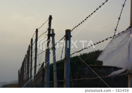 barbed wire, fence, provisional 581459