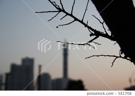 Urban winter sky 581708