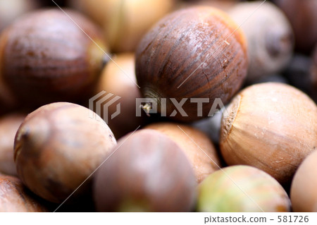 Acorn Acorn 581726