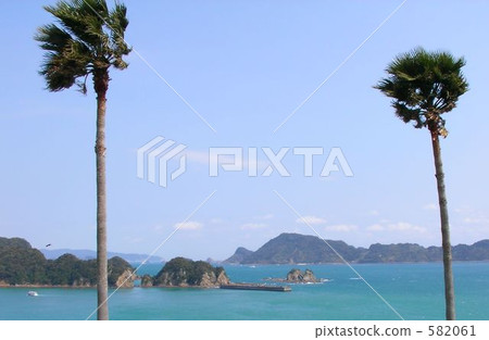 palm tree, miyazaki, blue water 582061