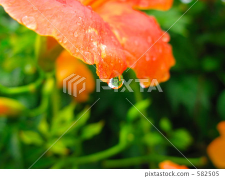 Water-droplets of a nova Kazura 582505
