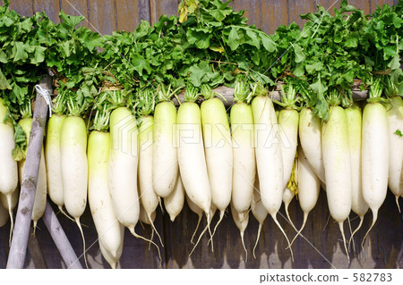 Dried radish 582783