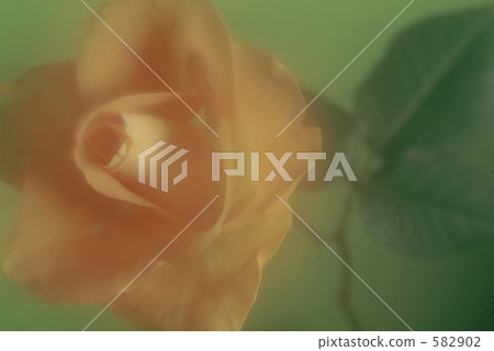 Takarena 0014 Takarena 0014 582902