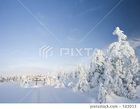 Midwinter baby pond 583013