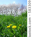 botanic, botanical, weed 583309
