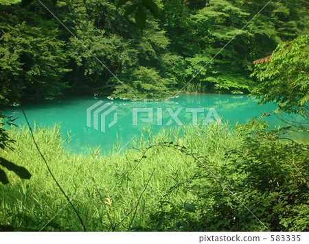 goshiki-numa, lagoon, swamp 583335