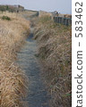 country road, rural road, straight path 583462