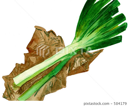 Green onion Green onion 584179
