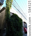 A vine 584325