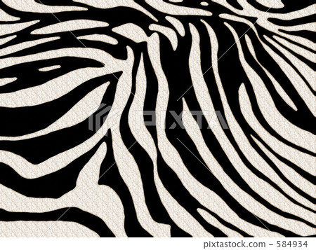 ZEBRA.Ⅱ 584934