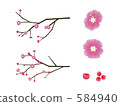 Illustration of plum branches 584940