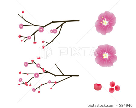 Illustration of plum branches 584940