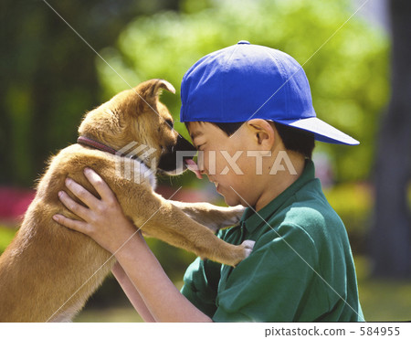 Puppies licking my nose Puppies licking my nose 584955