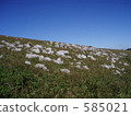 Shikoku karst Shikoku karst 585021