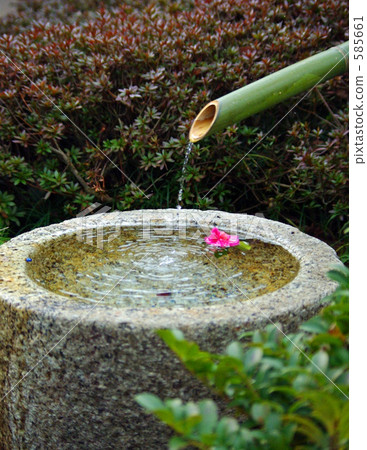 在水店裡的一個冷山茶花 585661