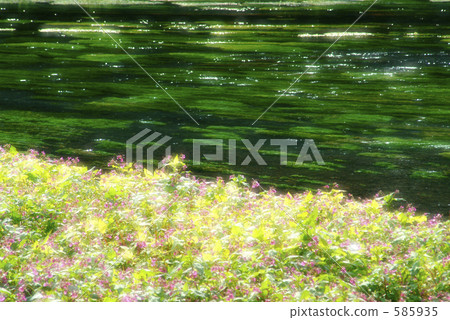 Kakita河 Kakita河 585935