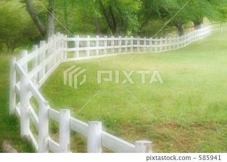 White fence White fence 585941