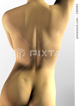 柔軟的女性線 586065