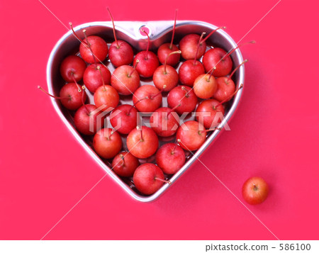 甜蘋果 甜蘋果 586100