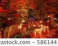 Scooped garden 586144