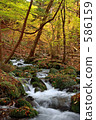 Autumn colored medakuzawa 586159