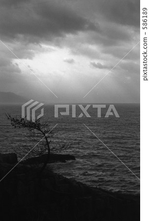 Fukui Prefecture · Tojinko Showa 49 years 586189