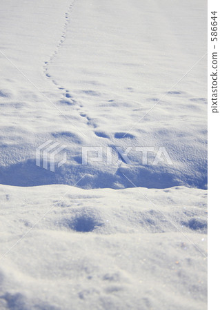 雪和腳印 雪和腳印 586644