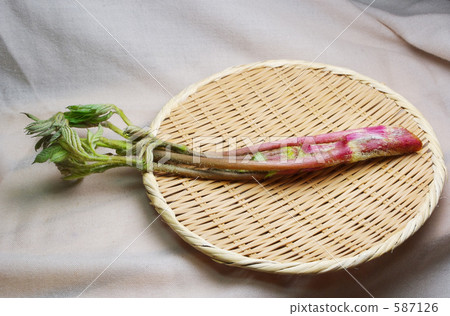 春天,烏多的季節 春天,烏多的季節 587126