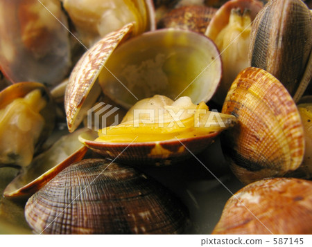 Sake Steamed Clam  587145