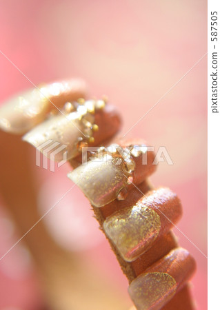 Nail tip (brown) 1 587505