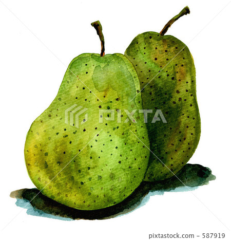 Pear 587919