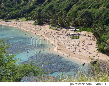 夏威夷哈瑙瑪灣 夏威夷哈瑙瑪灣 588081