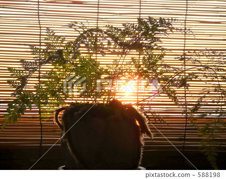 Setting sun Setting sun 588198