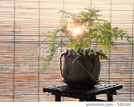Setting sun 588199