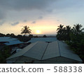 Dusk of the Island of Hawaii Coffee Farm 588338