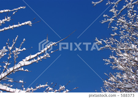 冬天藍天 588373