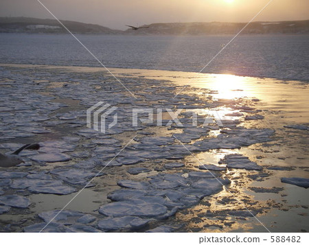 Drift ice at dusk 588482