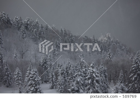 Winter at an altitude of 2,200 meters 589769