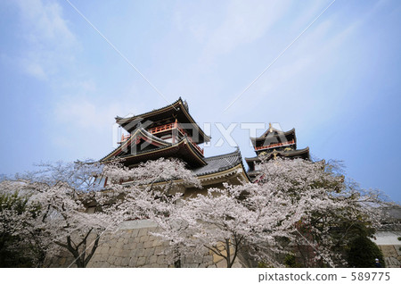 Fushimiyama城堡在春天 589775