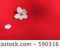 櫻花 590316