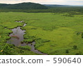 kushiro wetlands, marsh, wetlands 590640