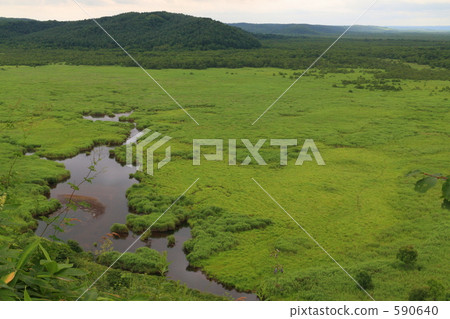 kushiro wetlands, marsh, wetlands 590640