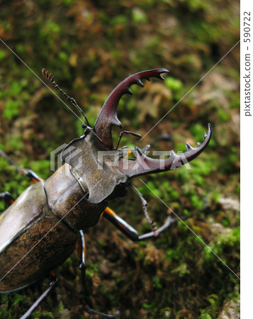 在源區遇到 590722