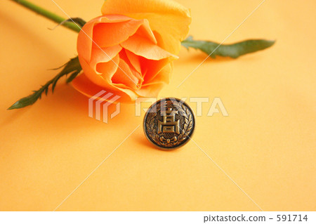 畢業 - 第二個按鈕-2 畢業 - 第二個按鈕-2 591714