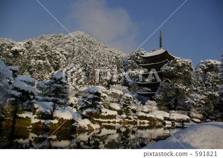 Snow scenery of Rurikoji Temple five stories 591821